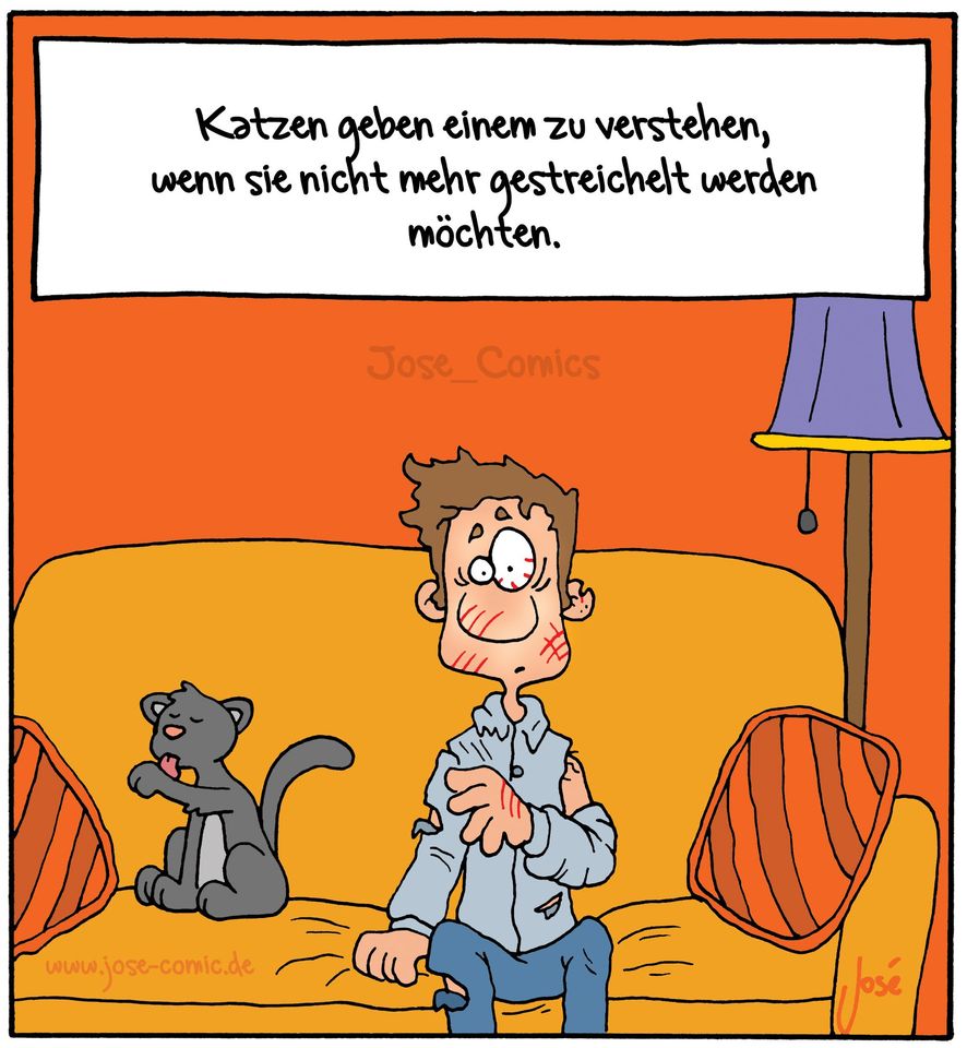 Katze03.jpg