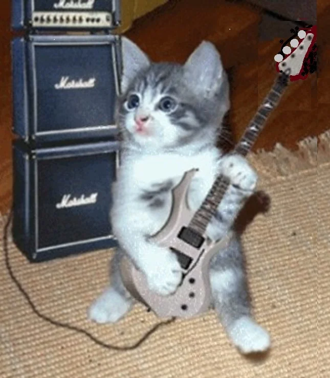 Katzen Blues bass.webp
