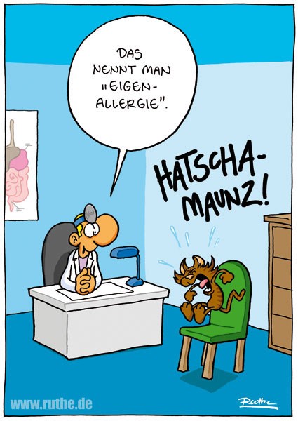 Katzenallergie.jpg