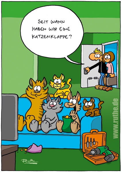 Katzenklappe.jpg