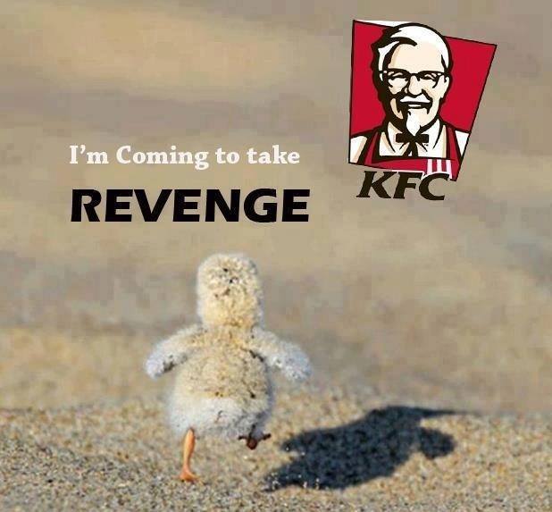 kfc revenge.jpg