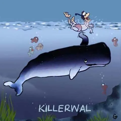 Killerwal.webp