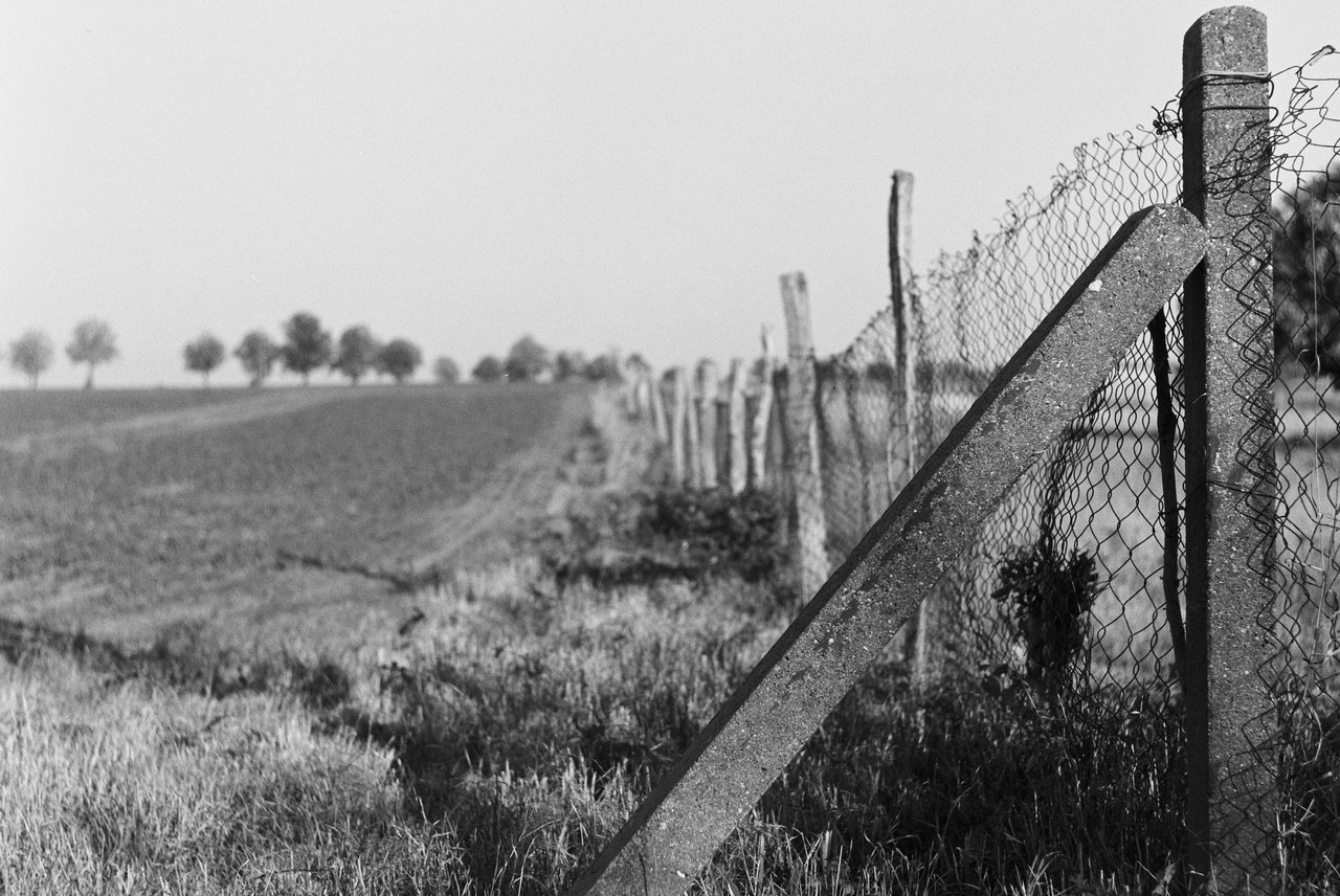 KinzelAPX1275090-15.jpg