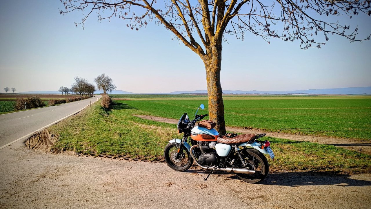 krad 2026-02-26.jpeg