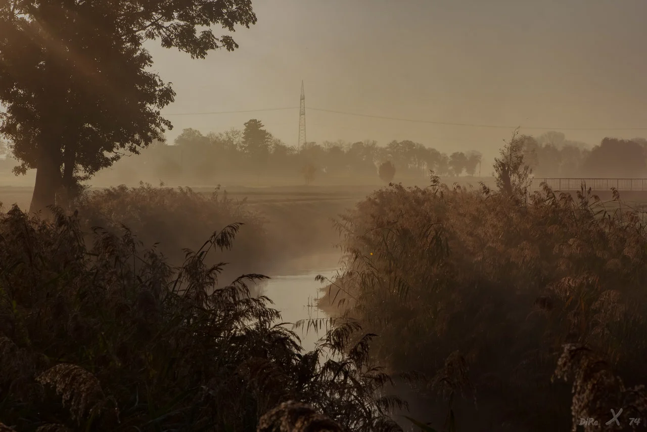 kraichbach Nebelmorgen_11112019.webp