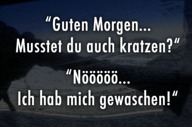 kratzen_u.jpg