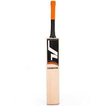 kricket.jpg