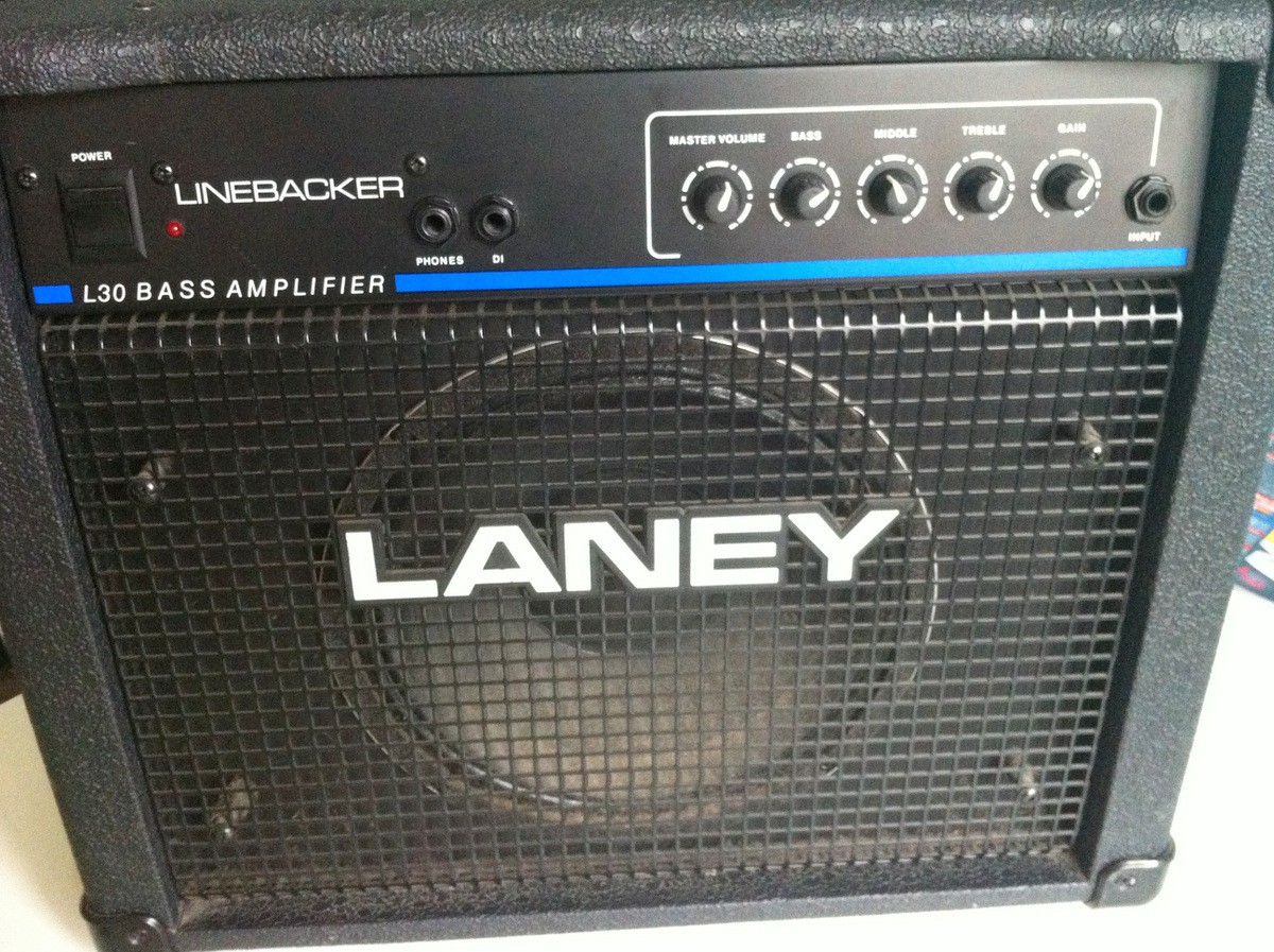 Laney.jpg
