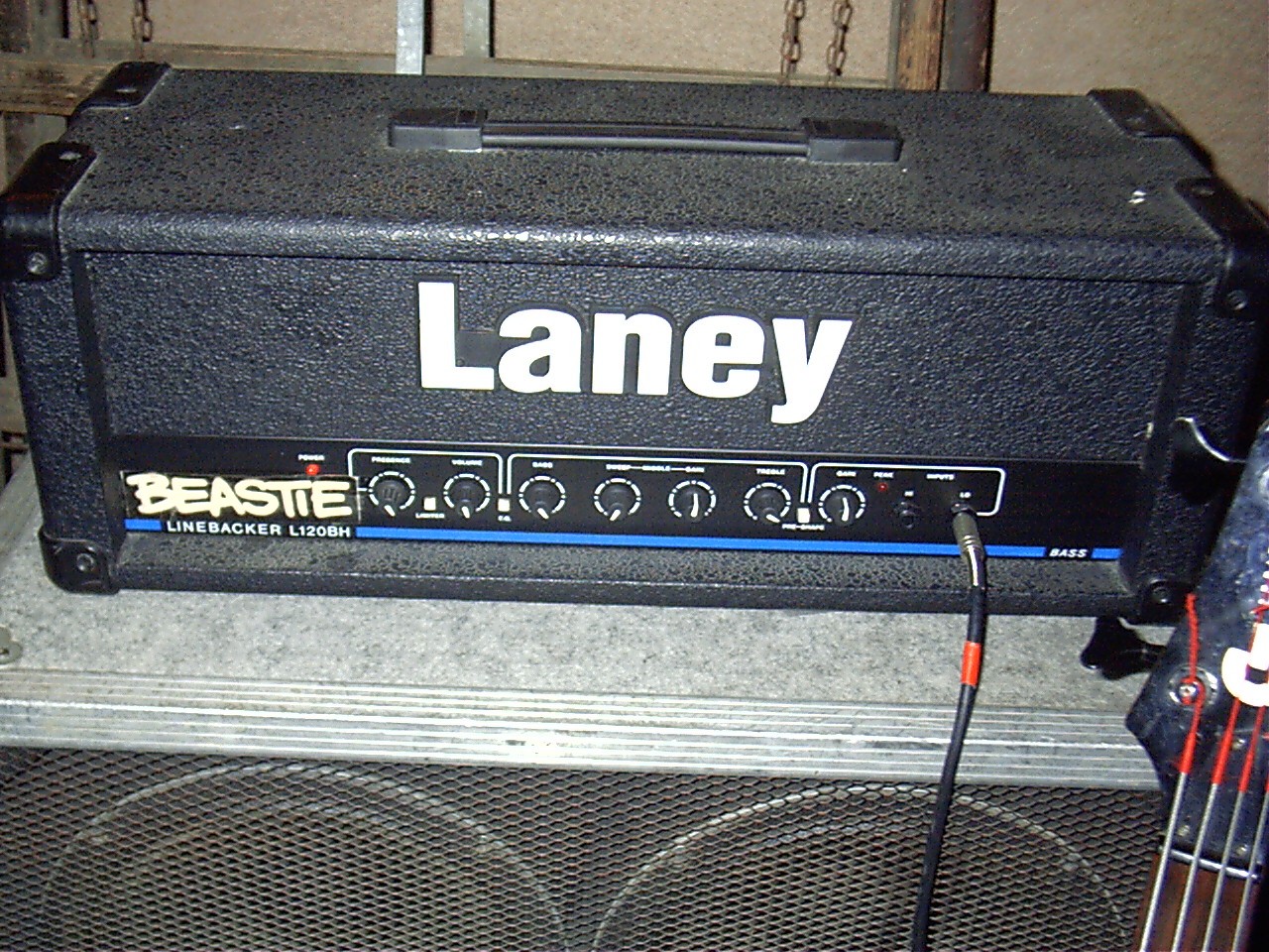 Laney.JPG