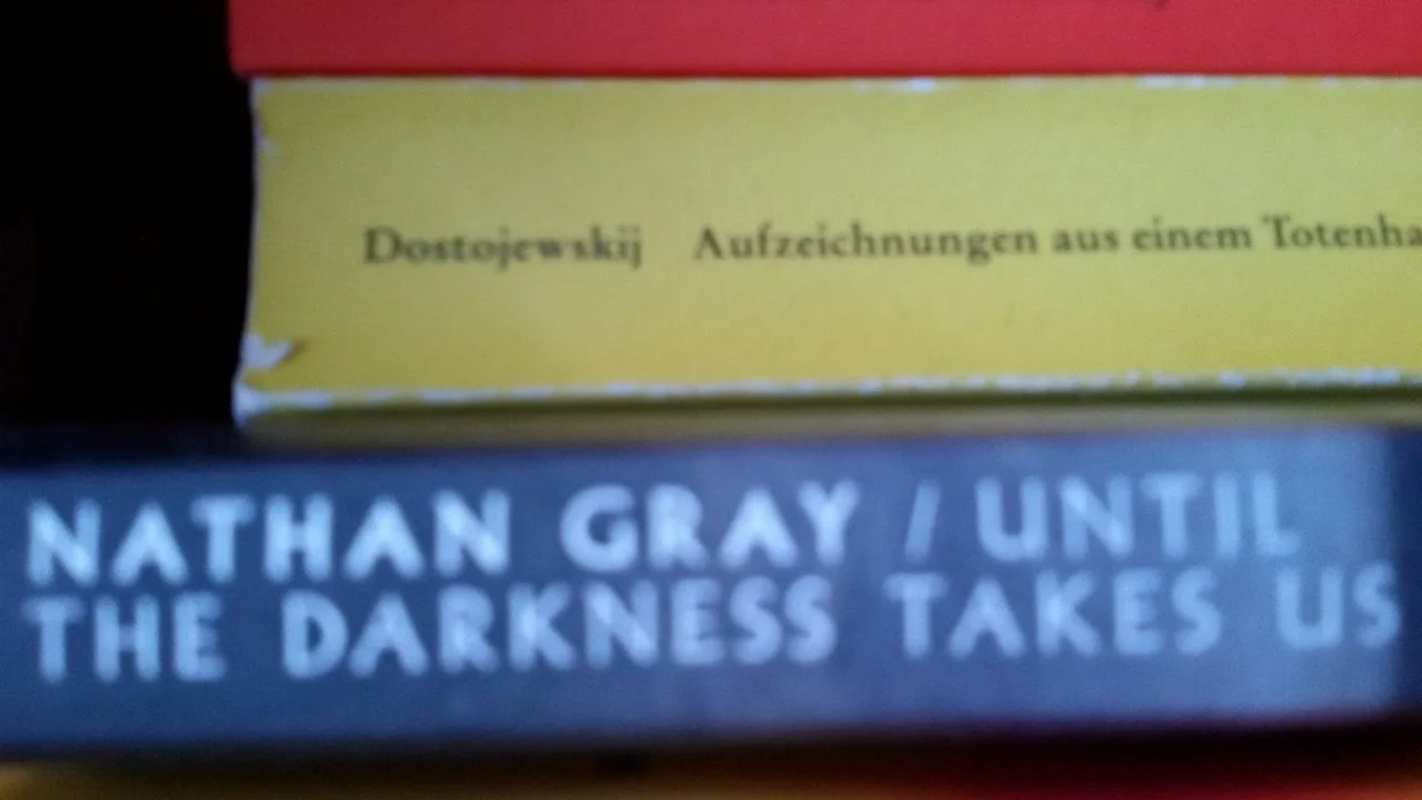 Laxy.vi.Liter 011.webp