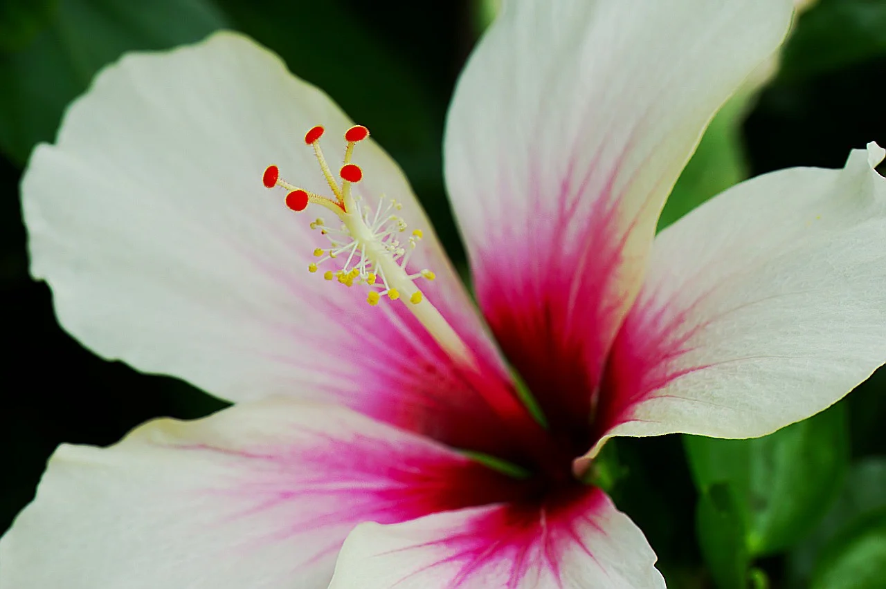 Lenny_1706218 005.webp