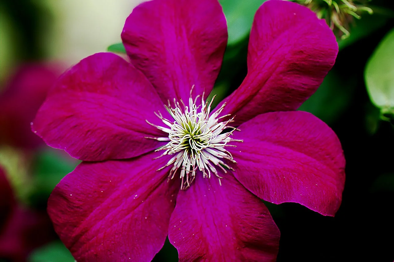 Lenny_1706218 010.webp