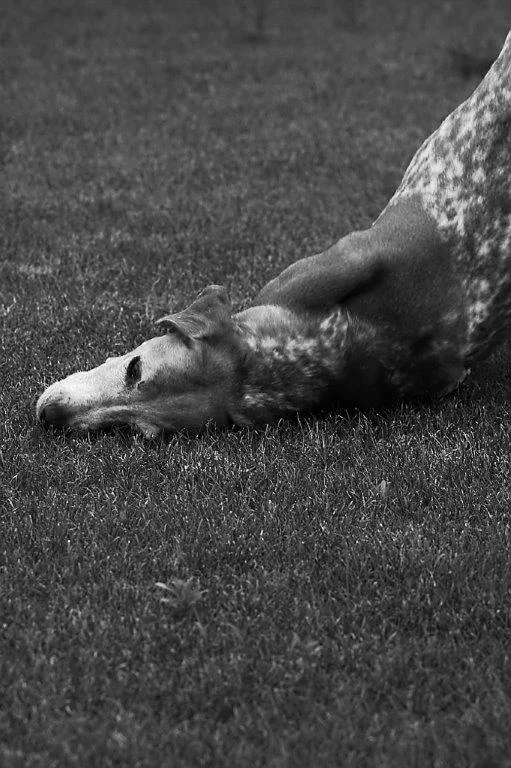 Lenny_1706218 044.webp