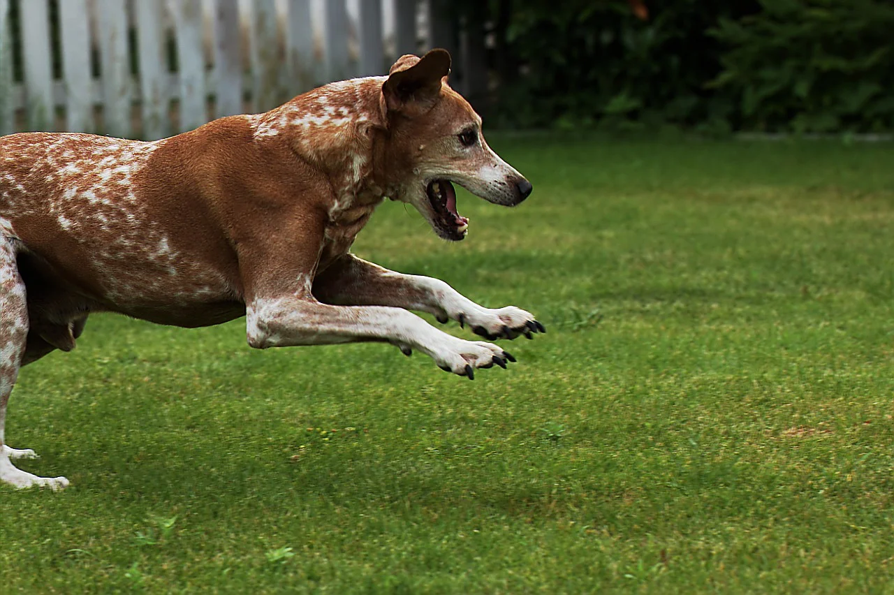 Lenny_1706218 083.webp