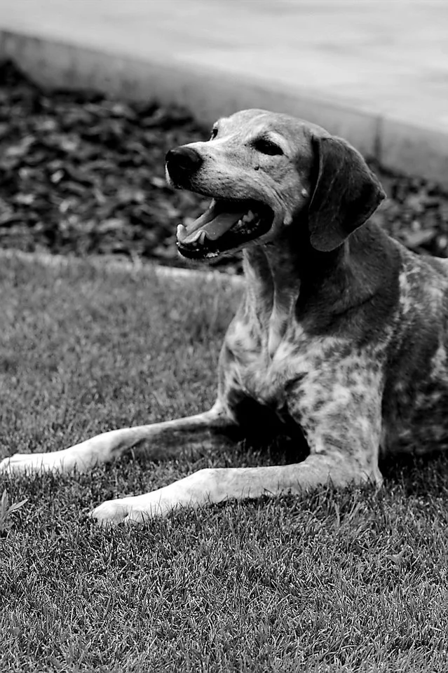 Lenny_1706218 086.webp