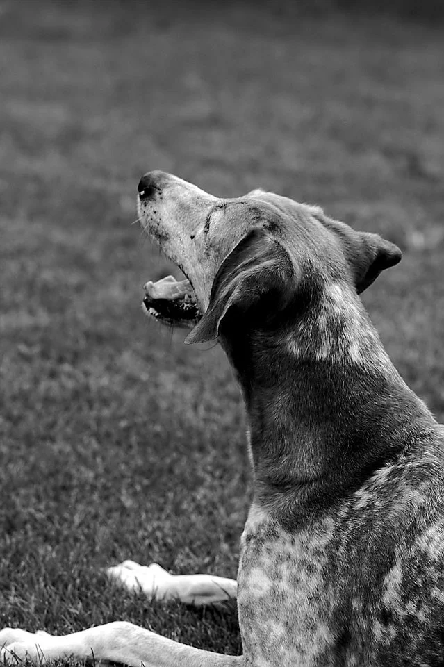 Lenny_1706218 089.webp