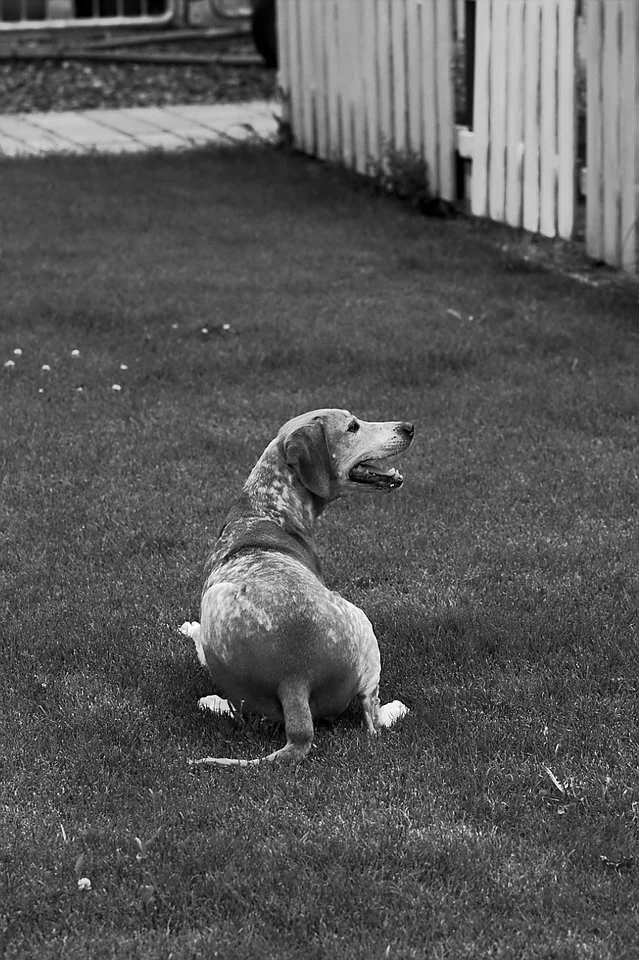 Lenny_1706218 096.webp