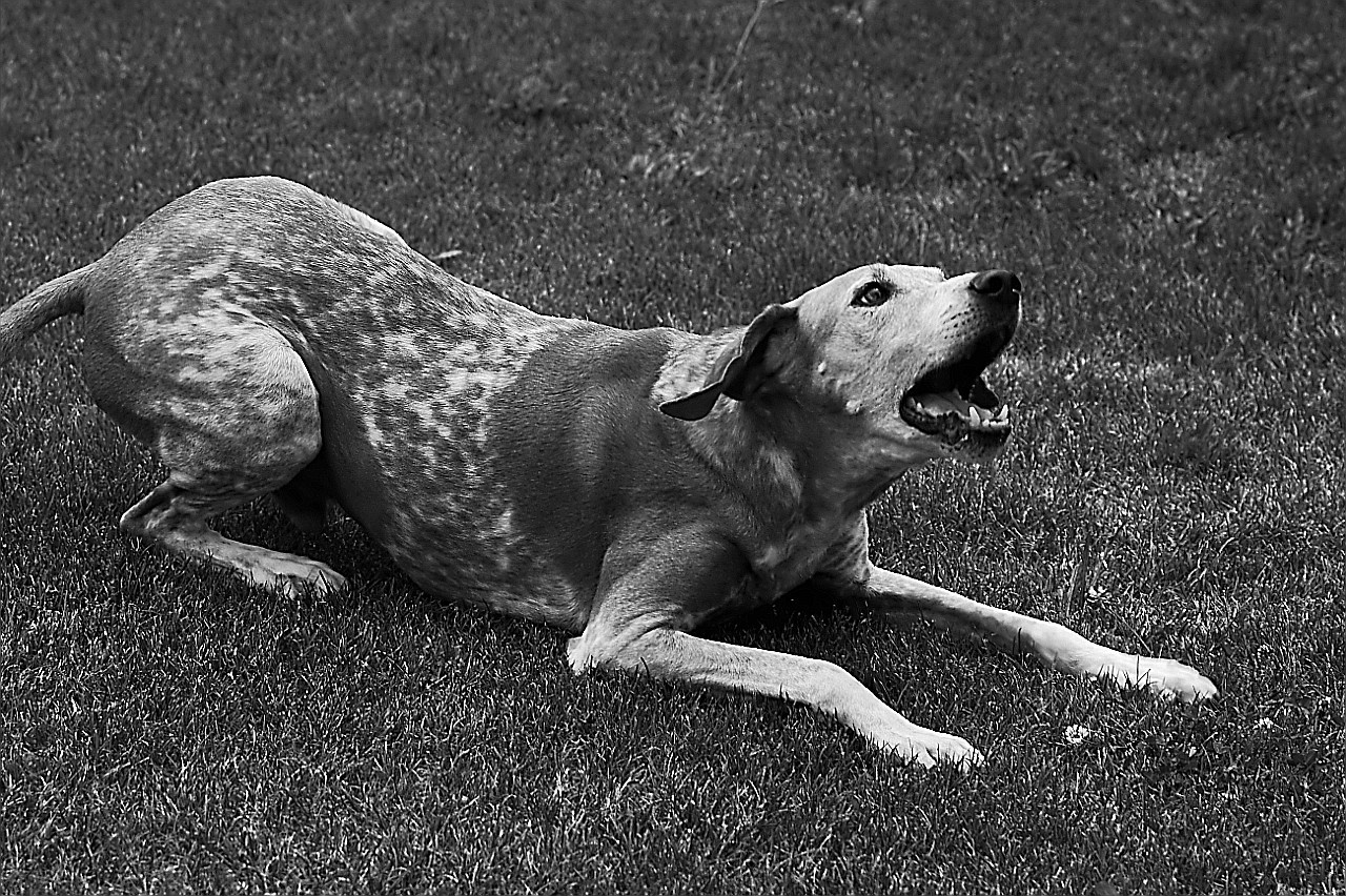 Lenny_1706218 113.jpg