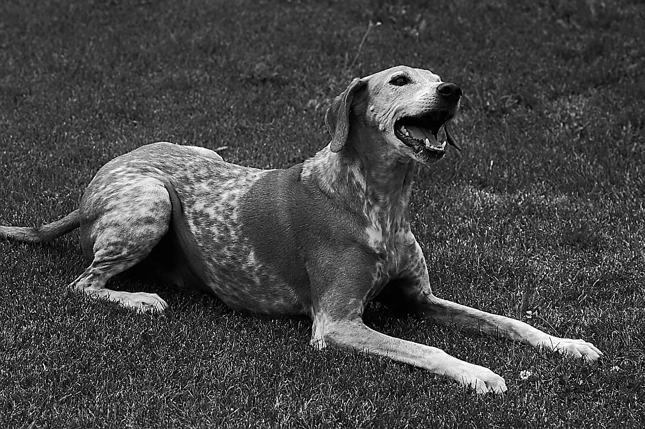 Lenny_1706218 116.webp