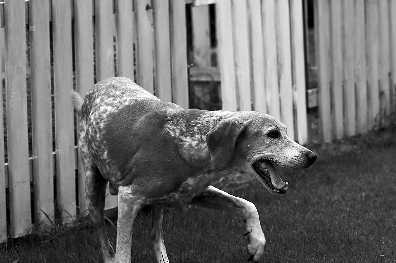 Lenny_1706218 150.jpg