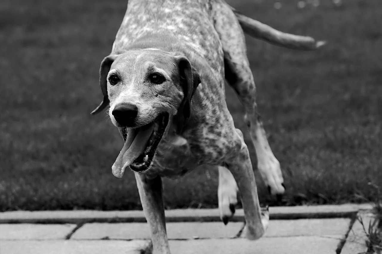 Lenny_1706218 153.webp