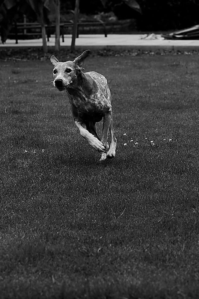 Lenny_1706218 161.webp