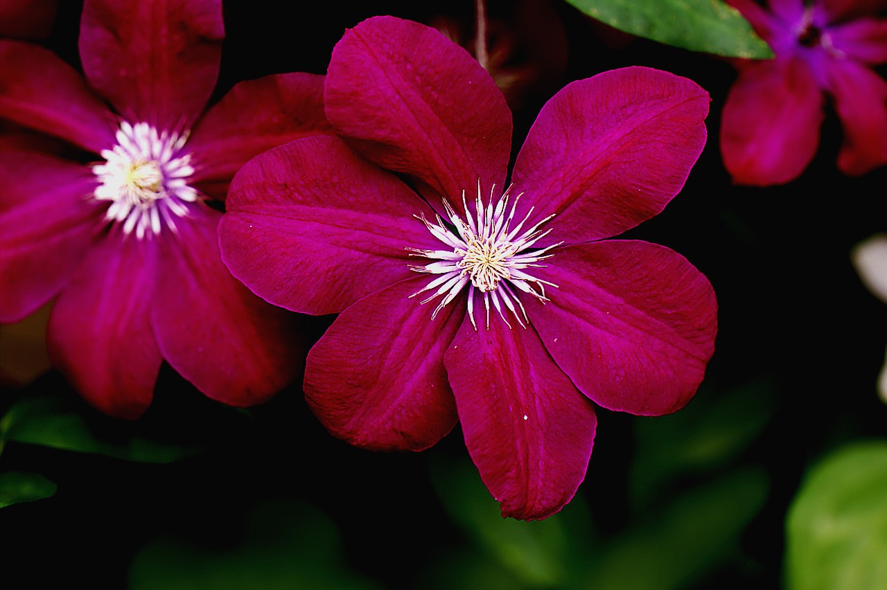 Lenny_1706218 163.jpg