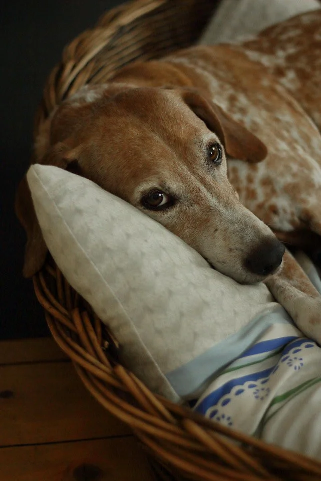 Lenny_1706218 198_1.webp