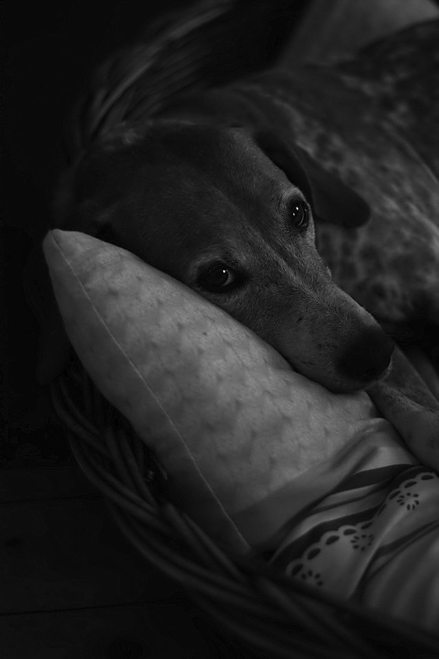 Lenny_1706218 199.jpg