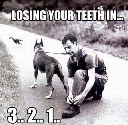 losing teeth.jpg