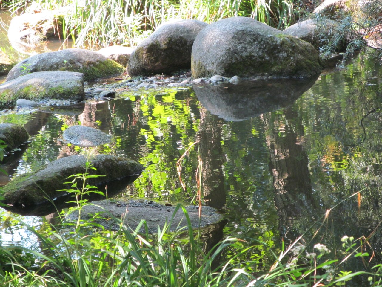 Luisenpark 10092016 025.JPG