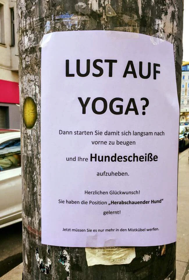 Lust auf Yoga.webp