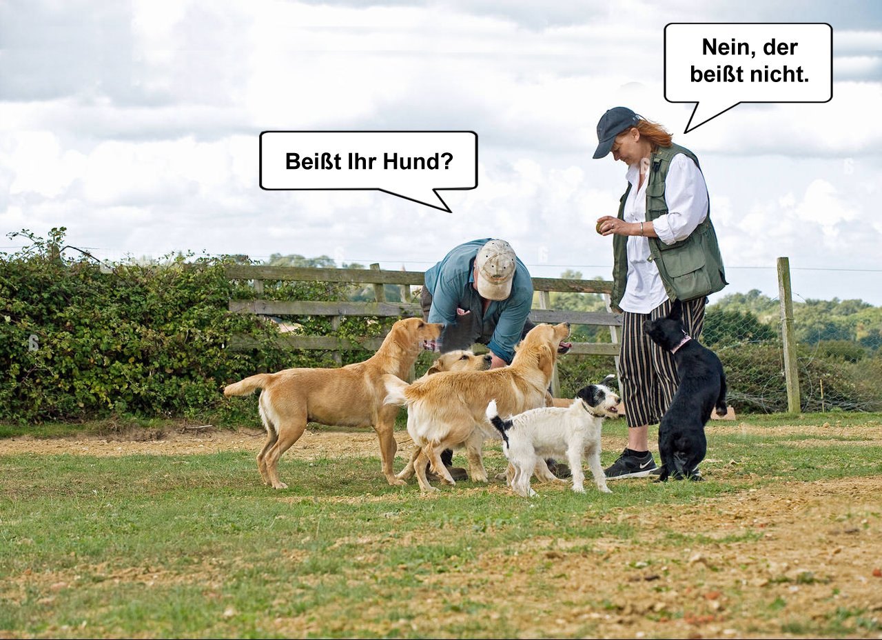 mann mit hunden2893_2.jpg