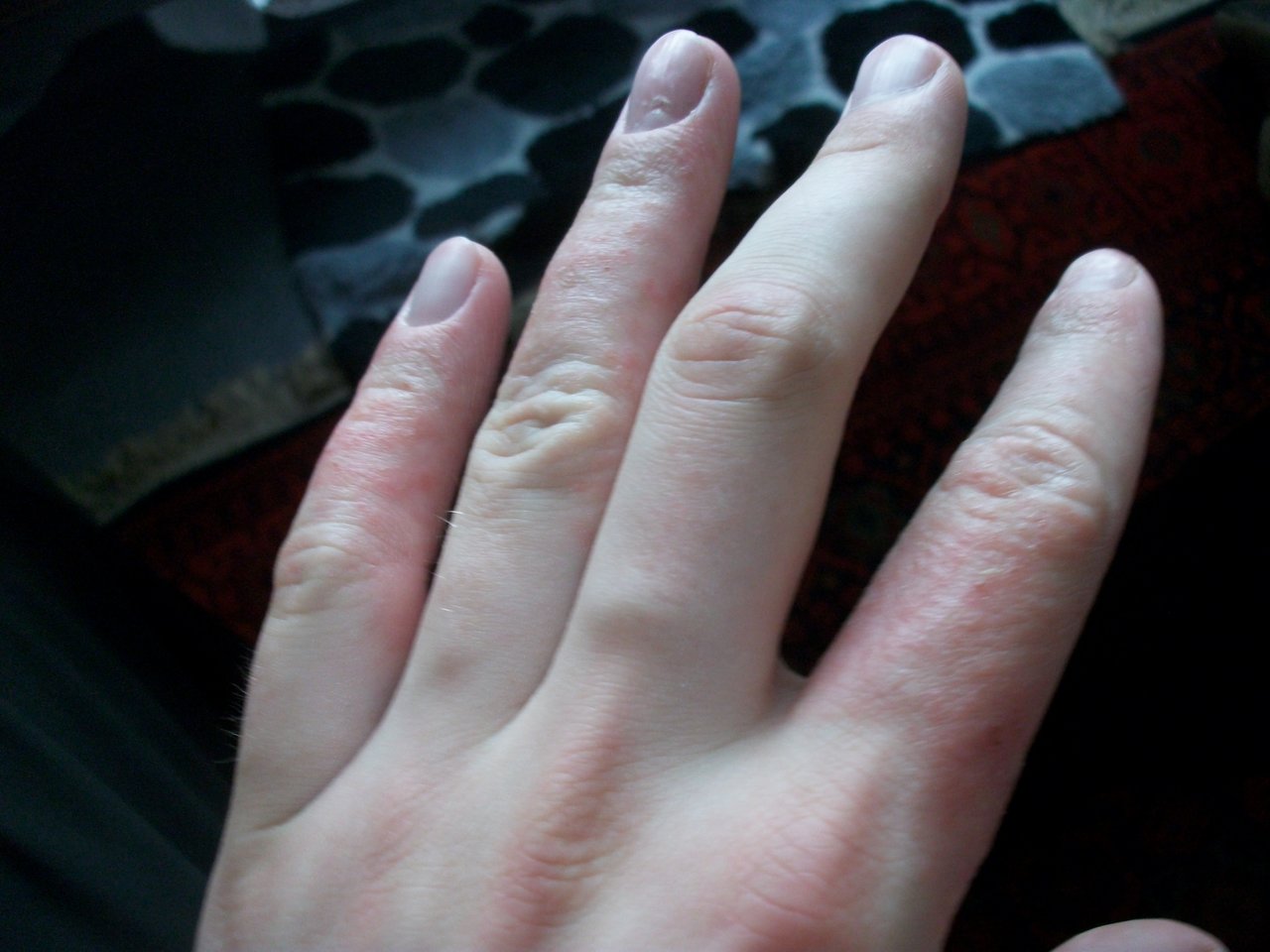 MD002721.JPG