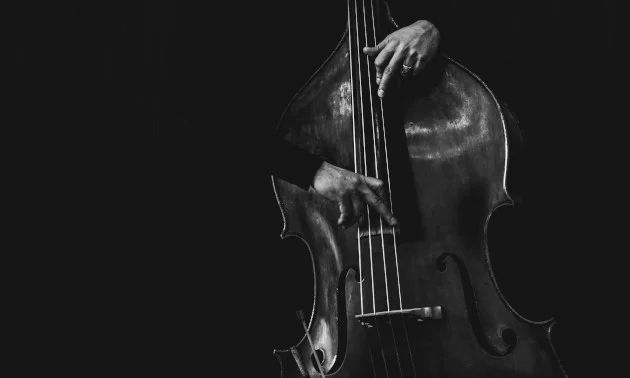 Userdiskussion: Kontrabass nachahmen