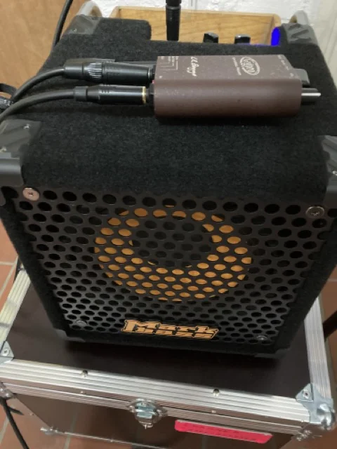 Mittel (IMG_0850).webp