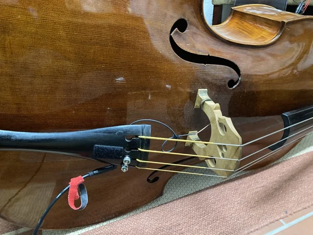 Mittel (IMG_0851).webp