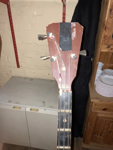 Mittel (IMG_0941).webp