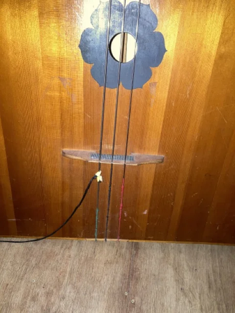 Mittel (IMG_0942).webp