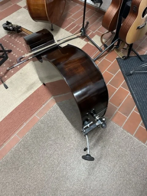 Mittel (IMG_1852).webp