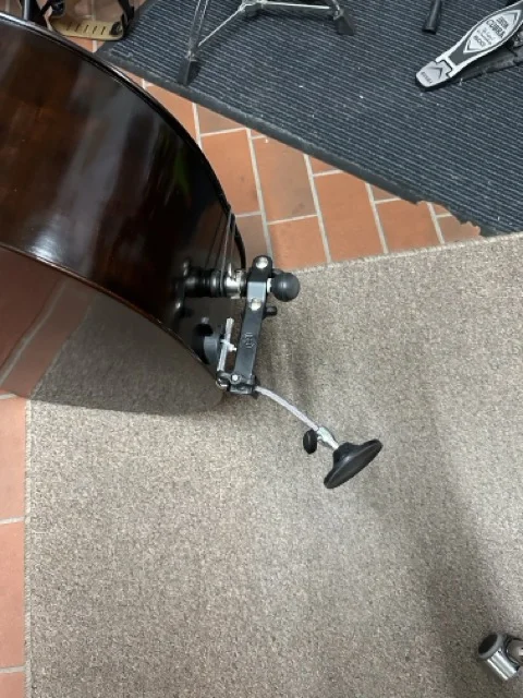 Mittel (IMG_1853).webp