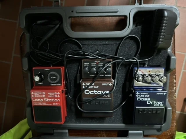 Mittel (IMG_2186).webp