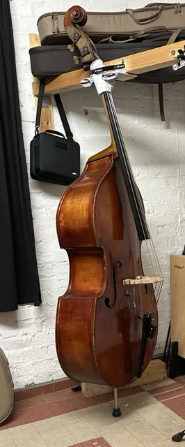 Mittel (IMG_2224).webp