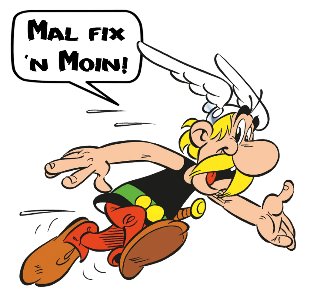 Moin asterix55231_2.webp
