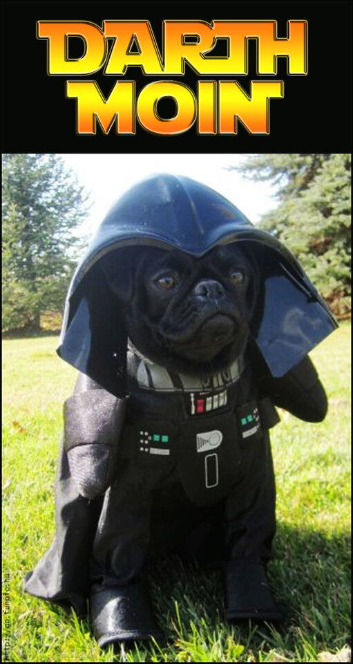 Moin Darth Vader480_4.jpg