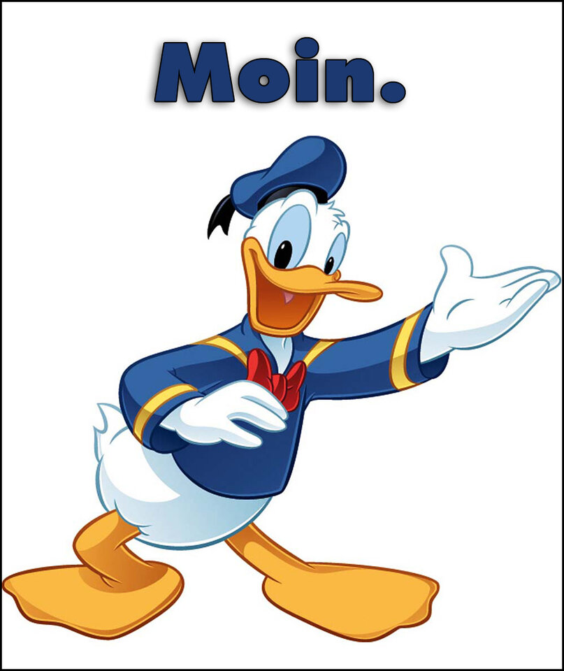 Moin Donald-Duck_4.jpg