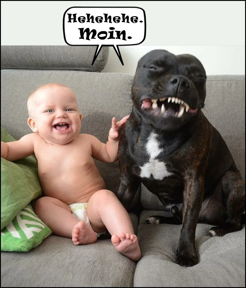 Moin ein baby-und-bulldogge.webp