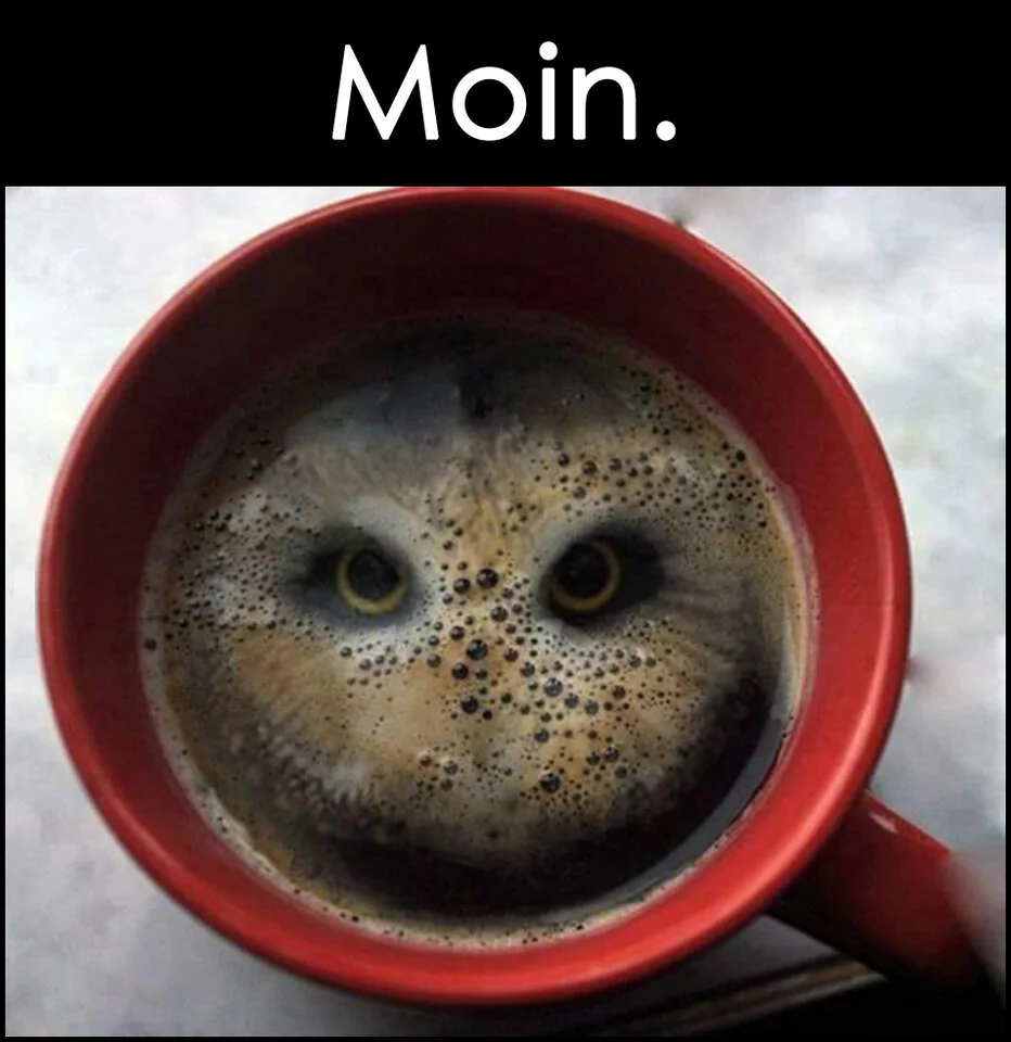 moin kaffee_eule_2.webp