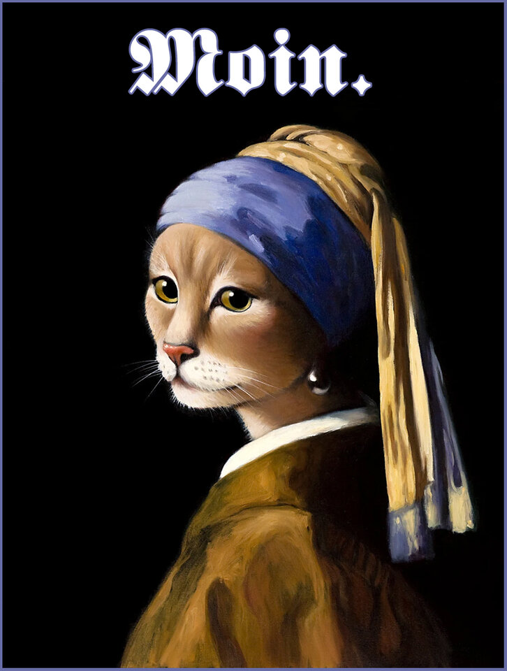 Moin Katze2_2.jpg
