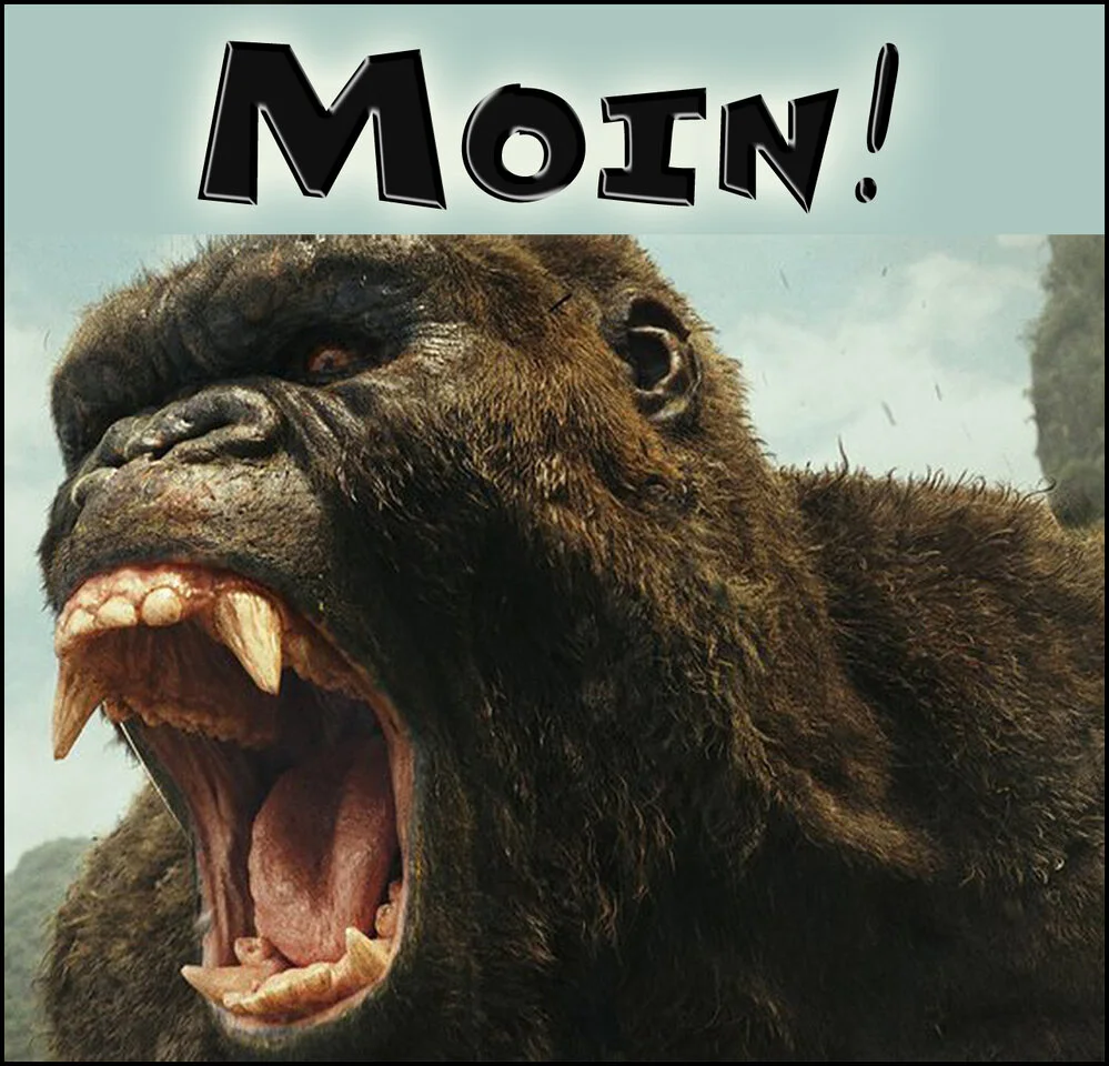 moin king kong3_2.webp